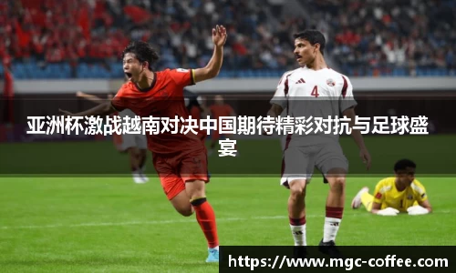 亚洲杯激战越南对决中国期待精彩对抗与足球盛宴