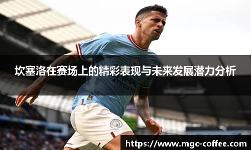 坎塞洛在赛场上的精彩表现与未来发展潜力分析