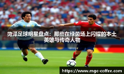菏泽足球明星盘点：那些在绿茵场上闪耀的本土英雄与传奇人物